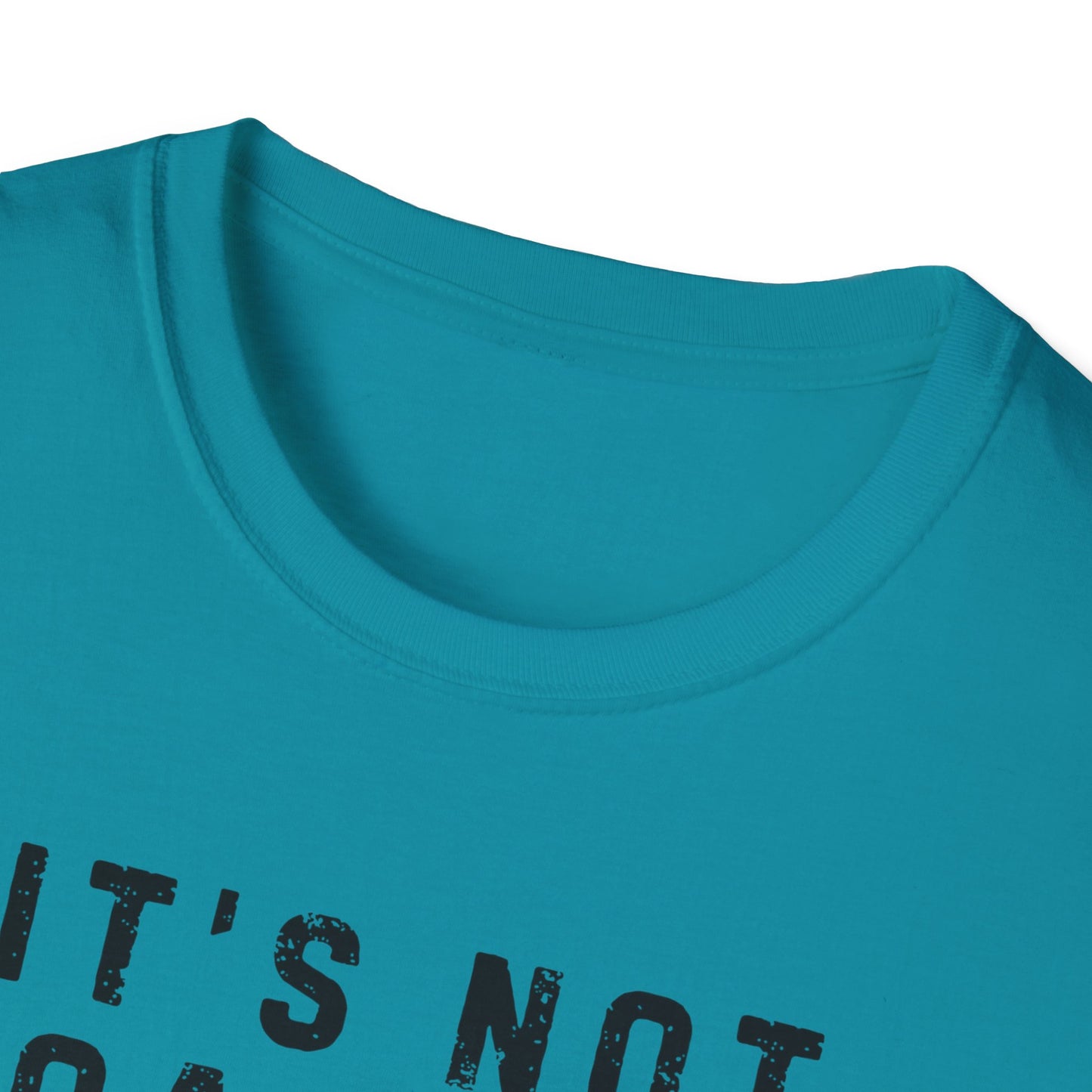 It’s not Hoarding if it’s Music Unisex Softstyle T-Shirt
