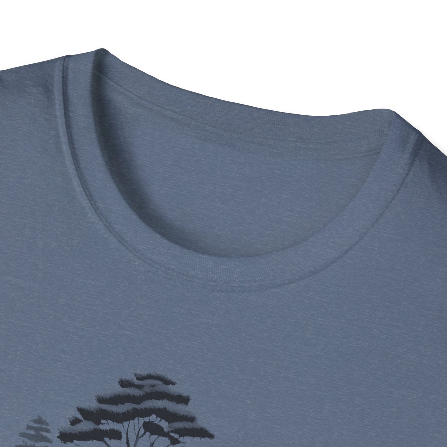 Zen Keys Unisex Softstyle T-Shirt